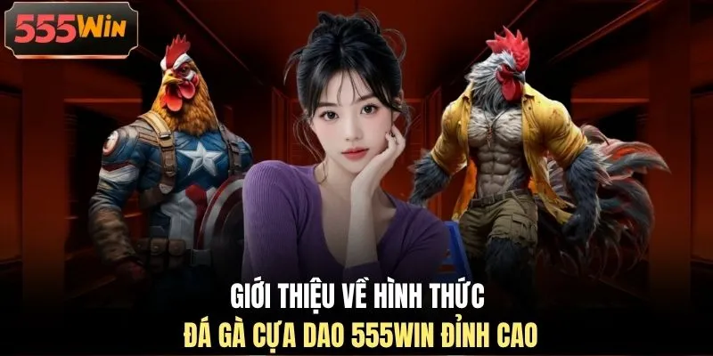 Giới thiệu về hình thức đá gà cựa dao 555WIN đỉnh cao Giới thiệu về hình thức đá gà cựa dao 555WIN đỉnh cao